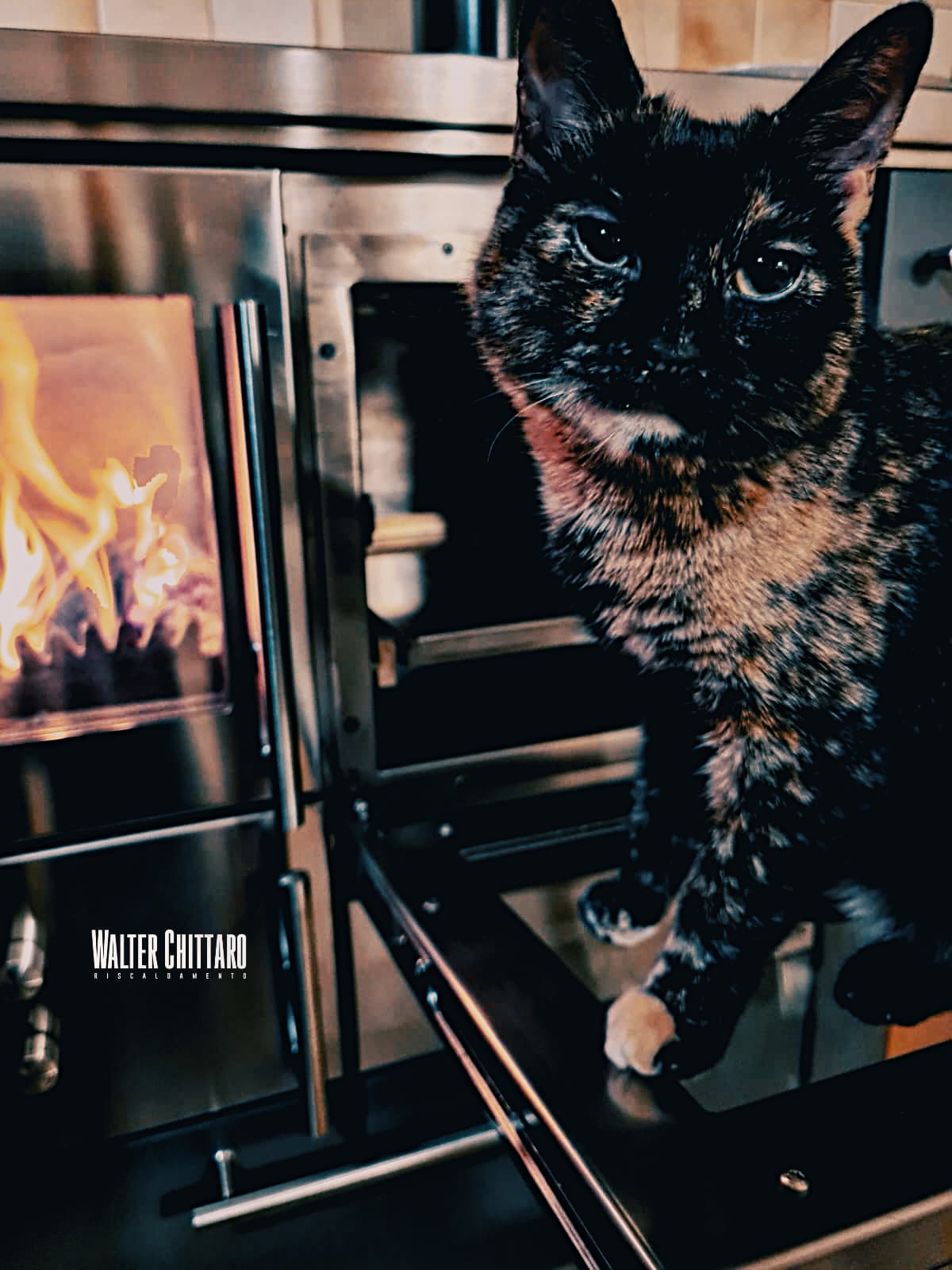 Ambiente elegante con stufa Chittaro