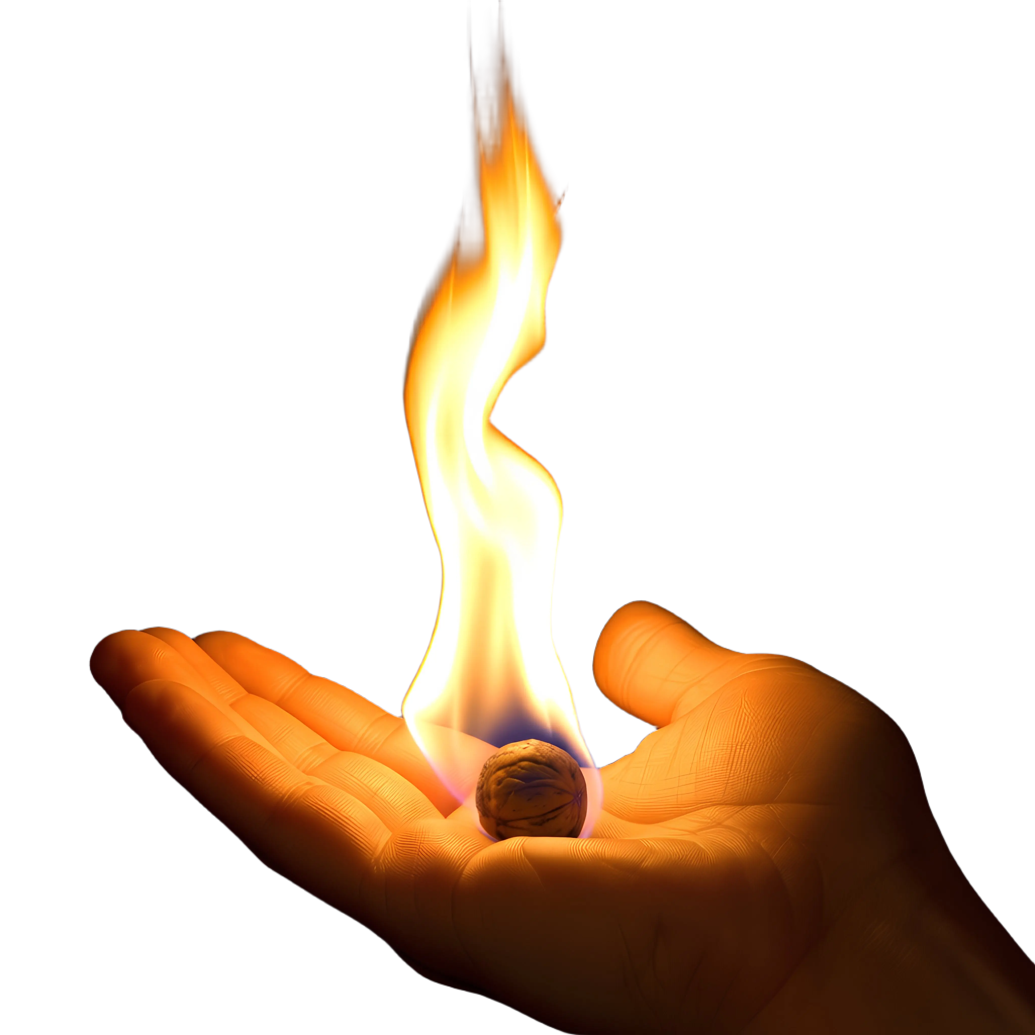 Walter Chittaro Icon