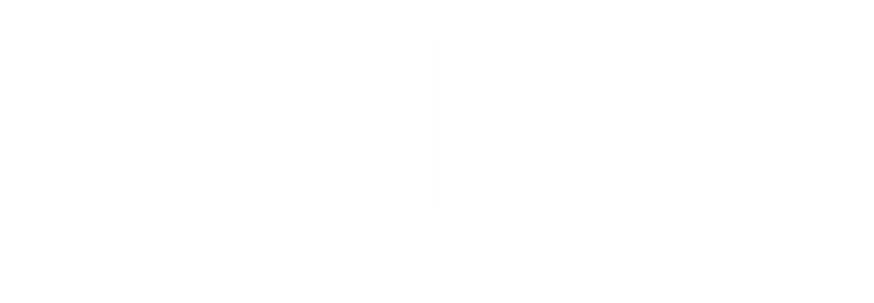 Walter Chittaro Logo