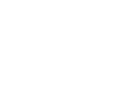 Odin Logo